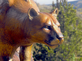Bronze Cougar / Mountain Lion Sculptures