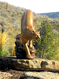 Bronze Cougar / Mountain Lion Sculptures