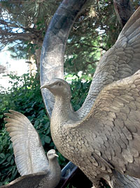 Dove Sculpture - Larger Than Life